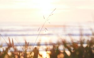 人生は夏休みの自由研究