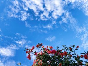 「健全」な考え方を心がける
