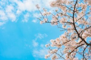 自分の努力が報われないと感じたとき