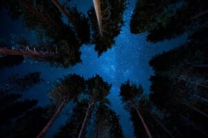 失敗を恐れない心の受身を身につける