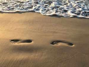 その足跡にはきれいな水がたまるように