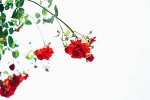 自分を過大評価すると不満が生まれる