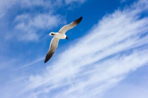 「未来とは、今である」目の前のことに全力をつくす