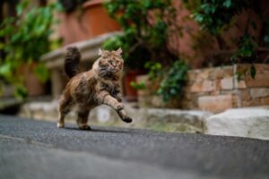 逃げるなら前に逃げろ