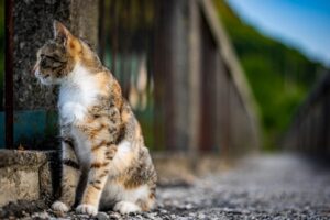 目先の利益の為ならず