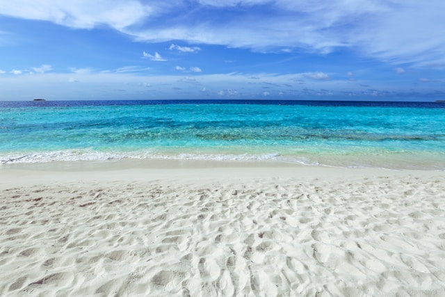 癒しの海